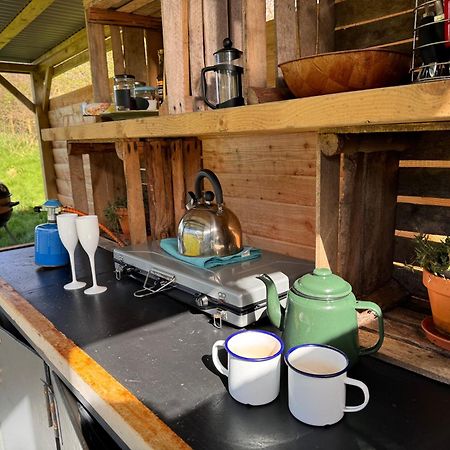 Geodesic Dome Glamping Hotel Llanidloes Eksteriør billede