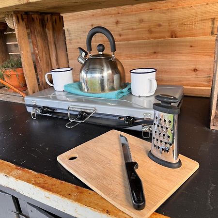Geodesic Dome Glamping Hotel Llanidloes Eksteriør billede