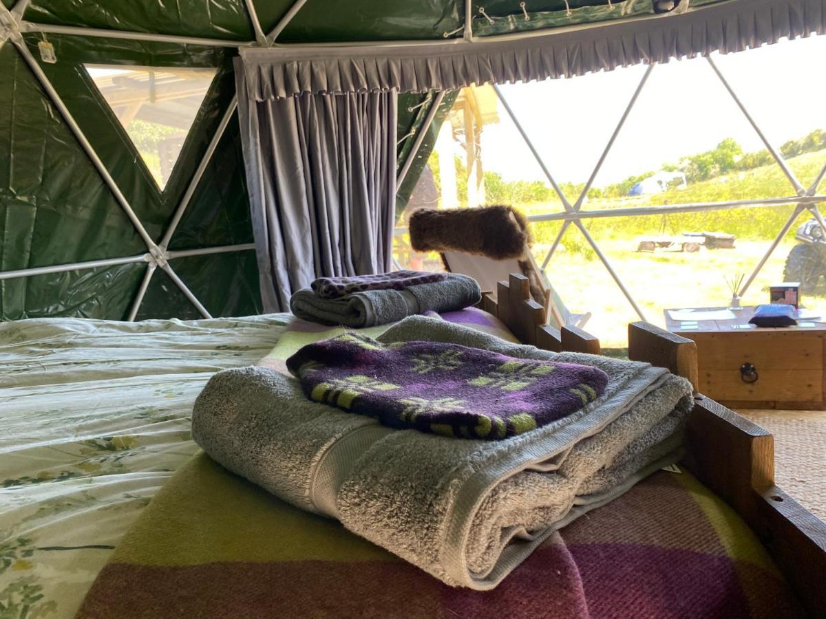 Geodesic Dome Glamping Hotel Llanidloes Eksteriør billede