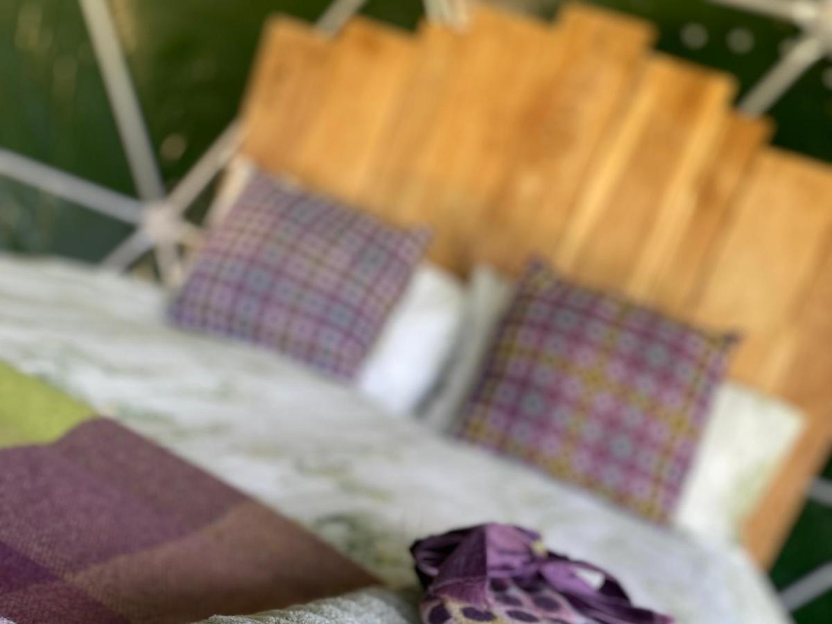 Geodesic Dome Glamping Hotel Llanidloes Eksteriør billede