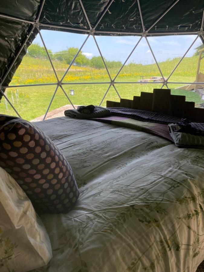 Geodesic Dome Glamping Hotel Llanidloes Eksteriør billede