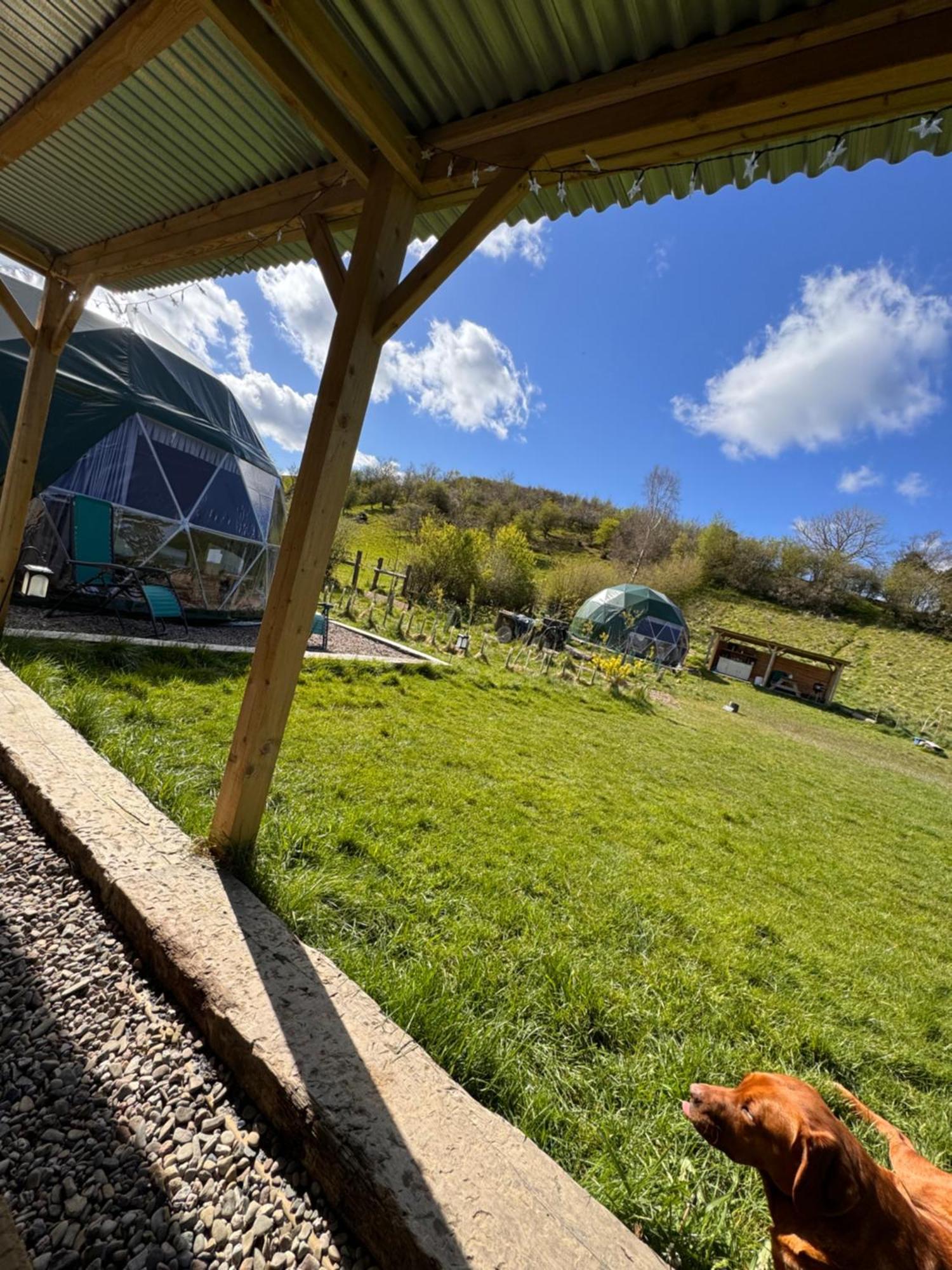 Geodesic Dome Glamping Hotel Llanidloes Eksteriør billede