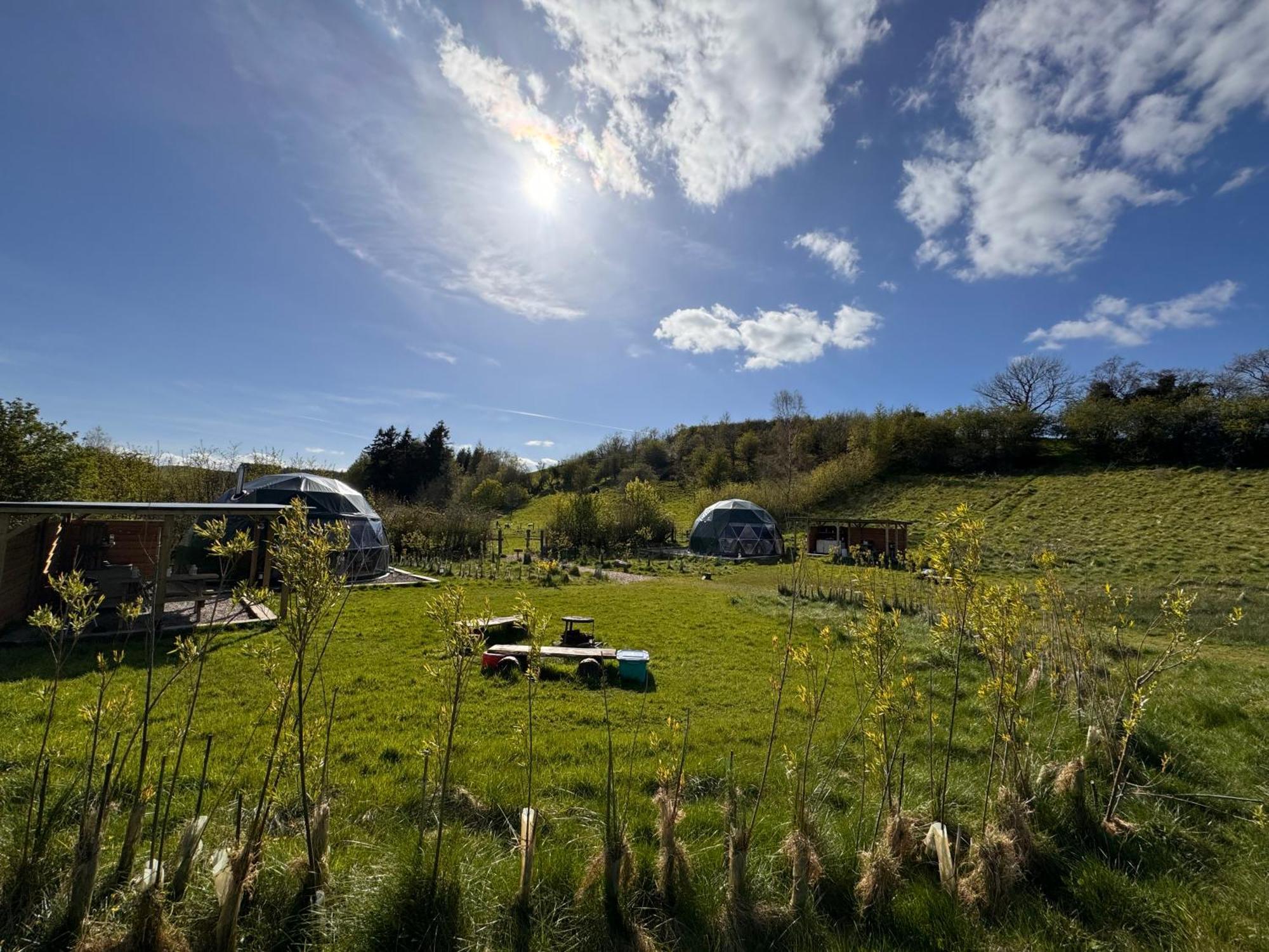 Geodesic Dome Glamping Hotel Llanidloes Eksteriør billede